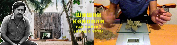 стаф Аркадак