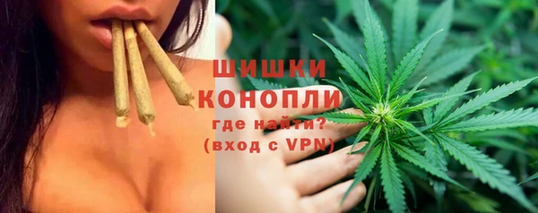 стаф Аркадак