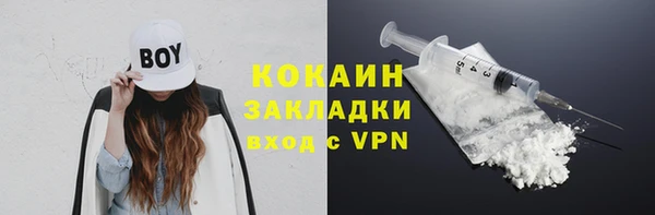 стаф Аркадак