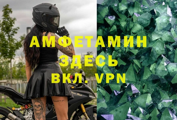 стаф Аркадак