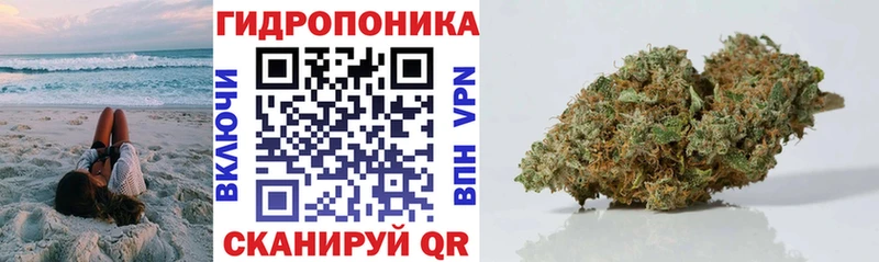 Каннабис OG Kush  KRAKEN зеркало  Удачный 